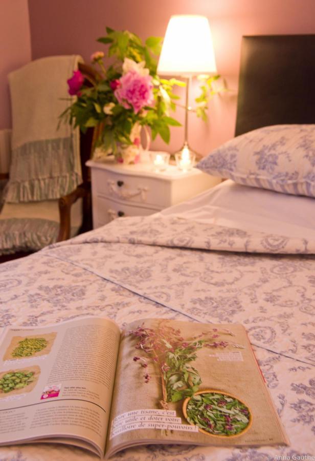 Le Cheval Blanc Bed and Breakfast Saint-Antonin Eksteriør billede