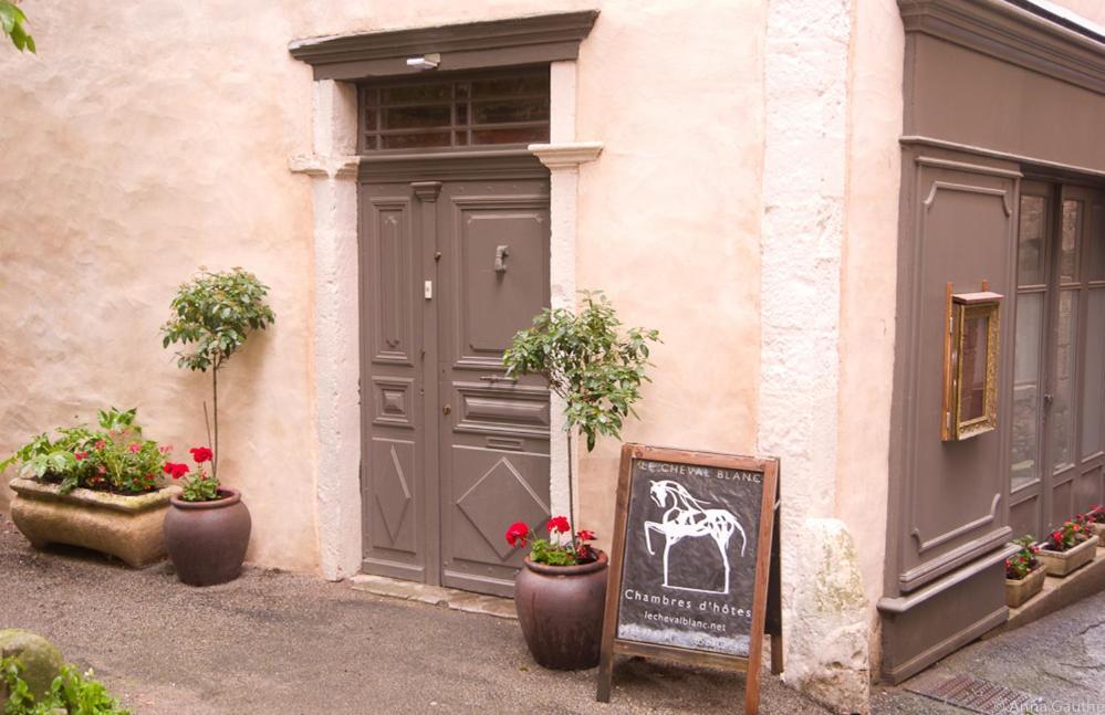 Le Cheval Blanc Bed and Breakfast Saint-Antonin Eksteriør billede